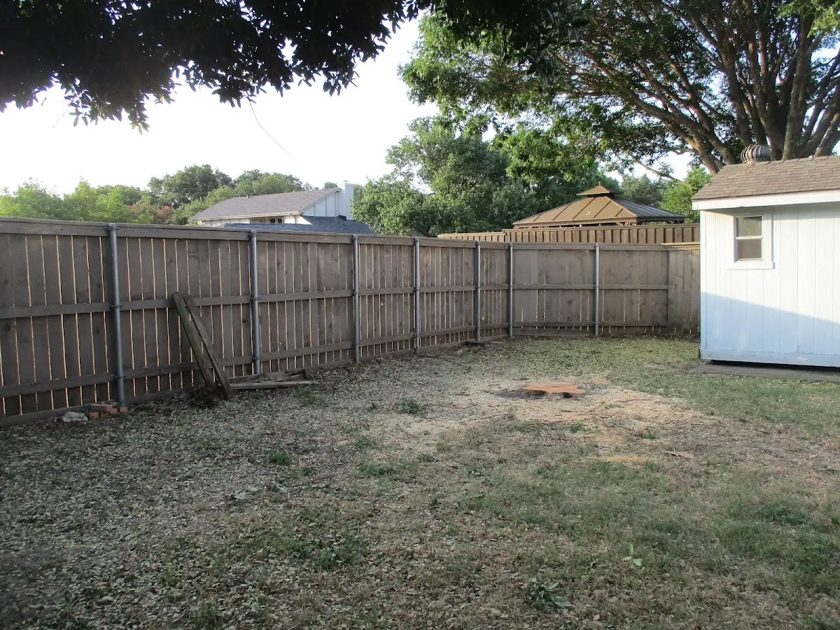 Cleared yard after professional tree removal in Eureka